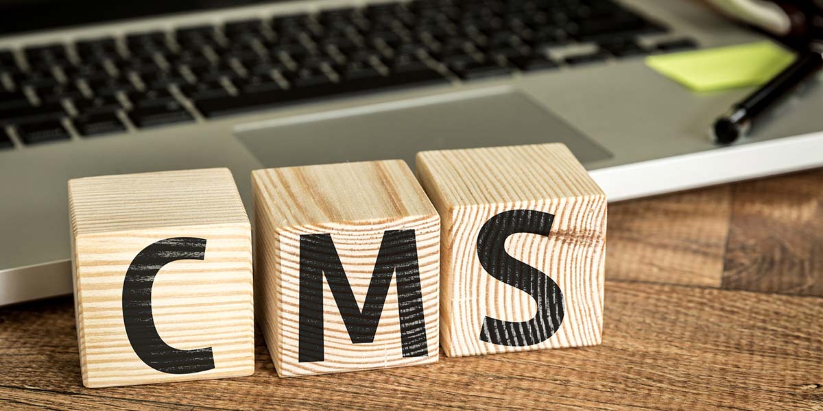 The Role of Content Management Systems (CMS)